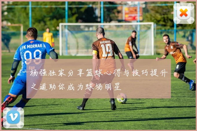 杨强独家分享篮球心得与技巧提升之道助你成为球场明星