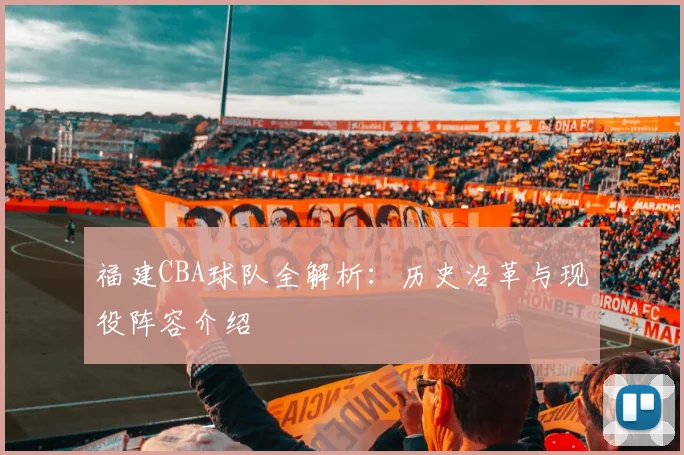 福建CBA球队全解析：历史沿革与现役阵容介绍