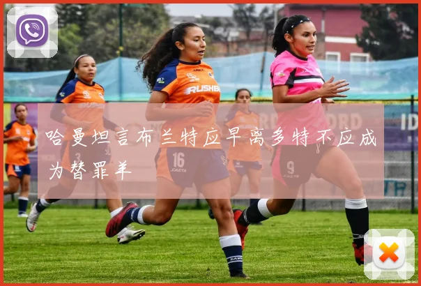 哈曼坦言布兰特应早离多特不应成为替罪羊